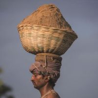 全球沙荒：20年貿易額增長六倍 中國占亞洲一半，一場全球資源危機！正在愈演愈烈！