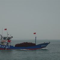 建設時產6000噸骨料系統、3.5公里廊道、配套3000萬噸碼頭！中電建廣東陽江大礦來了